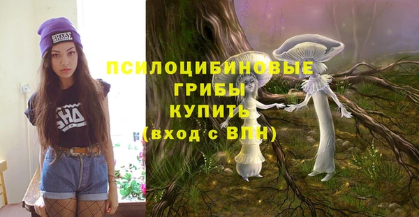 мяу мяу мука Алзамай