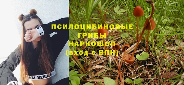 мяу мяу мука Алзамай