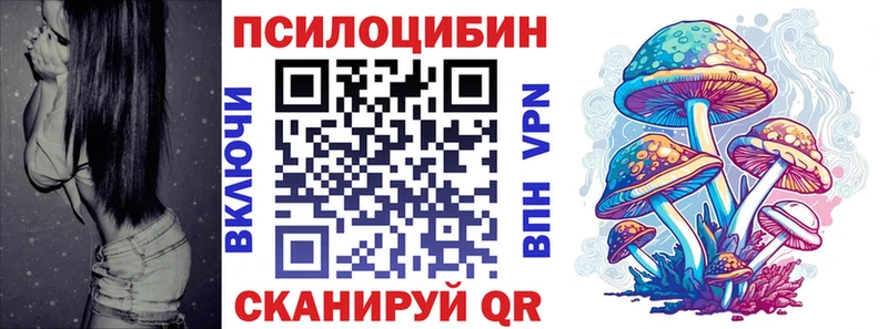 Галлюциногенные грибы Psilocybine cubensis  Саров 